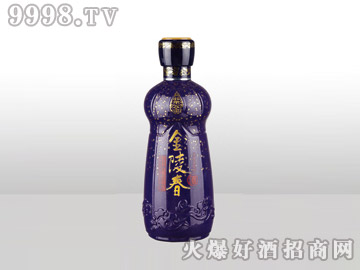 ̩ͿͿƿ괺C043-500ml