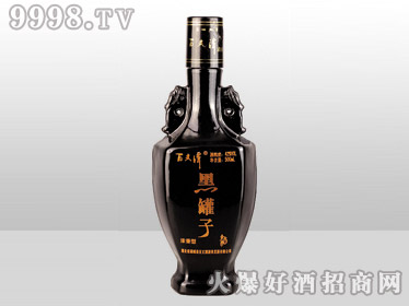 ̩ͿͿƿڹC-012-500ml